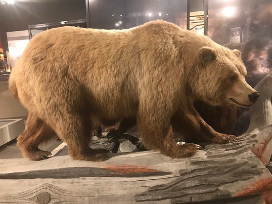 Maxine and Jesse Whitney's Museum